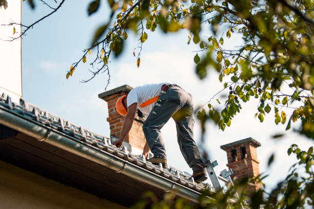 Best Metal Roofing Contractor  in Kewaunee, WI