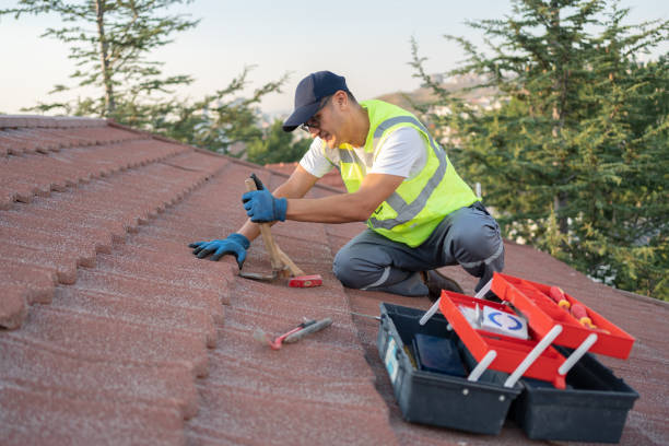 Best Roof Gutter Cleaning  in Kewaunee, WI